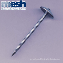 galvanized roofing nails with flat head